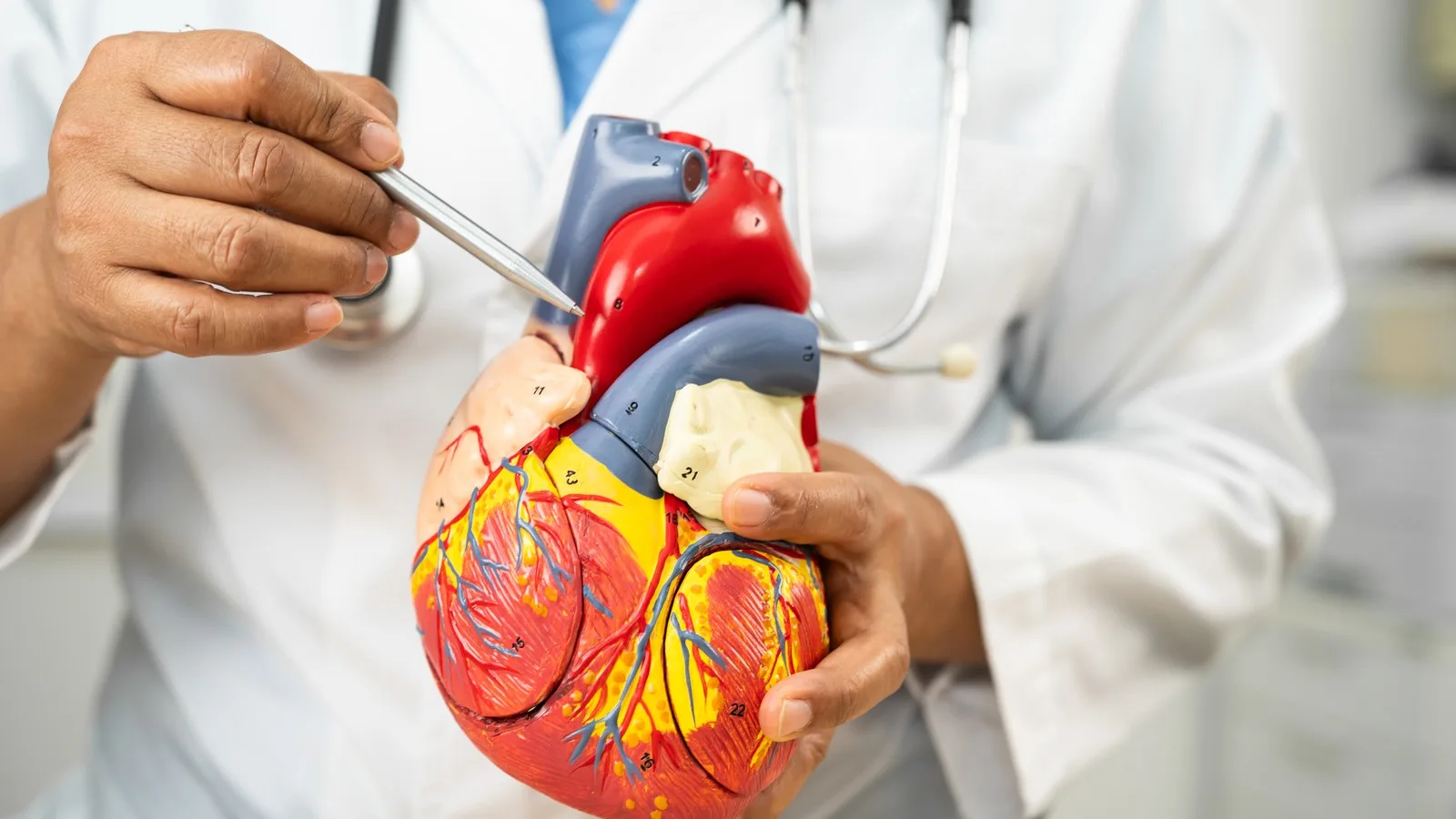 ¿Qué médico trata trombosis?